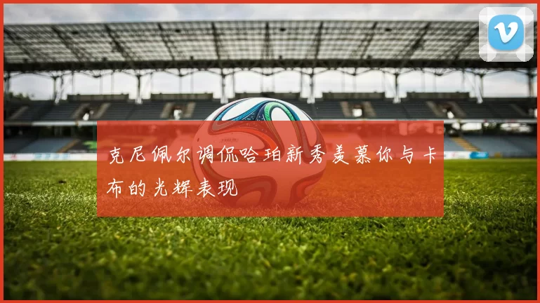 克尼佩尔调侃哈珀新秀羡慕你与卡布的光辉表现